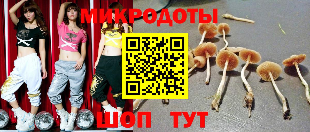 сколько стоит  Псилоцибиновые грибы MAGIC MUSHROOMS  Вход с VPN  Галлюциногенные грибы мицелий  Кашира 