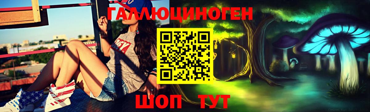 Галлюциногенные грибы Psilocybe Кашира